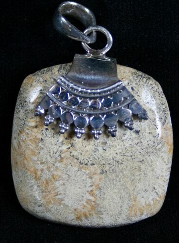 Fossil Coral Pendant - Sterling Silver #7274